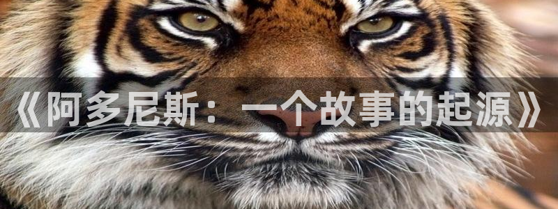 漫漫漫漫漫漫画在线看