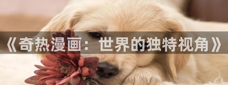 漫漫漫画官网韩国